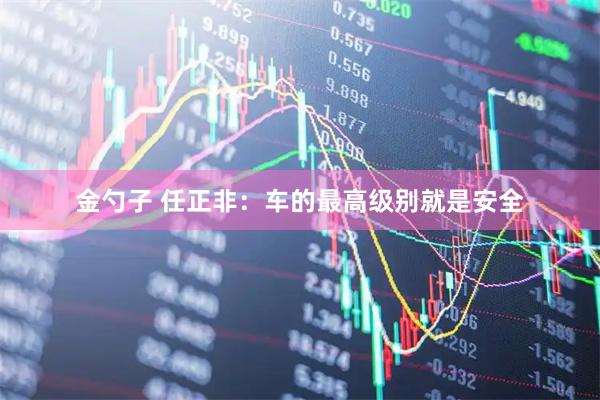 金勺子 任正非：车的最高级别就是安全